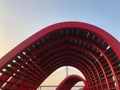 -芒洲湿地公园