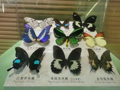 -蝴蝶泉公园