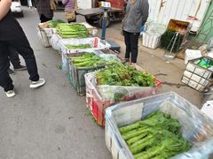 -大连果菜批发市场