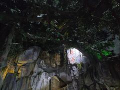 -泉城欧乐堡海洋极地世界