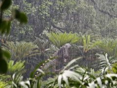 -中国科学院华南植物园