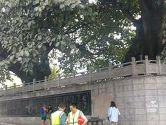 -大理文庙(大理古城)