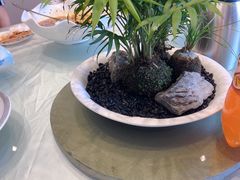 -艳阳天·非遗楚菜(武展店)