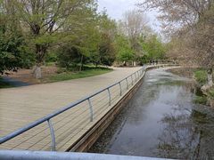 -长白岛森林公园