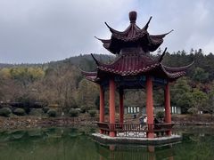 -冶父山国家森林公园