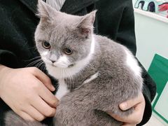 -佳雯宠物医院(金华南路分院)