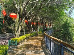 -金鸡山公园
