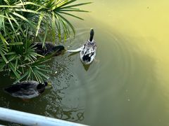 -牛岗山公园