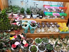 -大润发(浒关店)