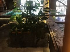 -浅深(北京北四环精品店)