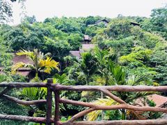 -海南槟榔谷黎苗文化旅游区