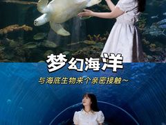 -华夏文旅西安度假区