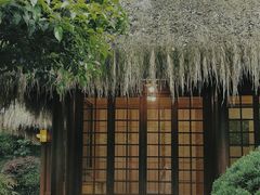 -中国茶叶博物馆(双峰馆区)