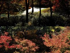 -花开海上生态园