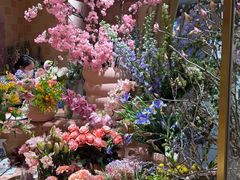 -BEAST野兽派(上海浦东嘉里城店)