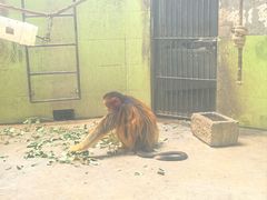 -石家庄市动物园