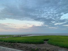 -南汇嘴观海公园