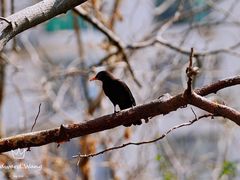 -苏州河梦清园环保主题公园