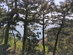 -崂山仰口游览区