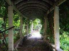 -东升八家郊野公园