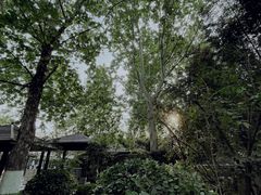 -春晖园度假酒店温泉