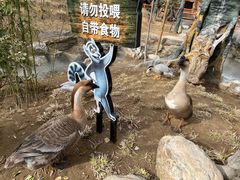 -VS SPORTS PARK运动玩乐园·团建·生日会(合生汇店)