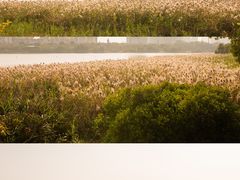 -华侨城湿地公园