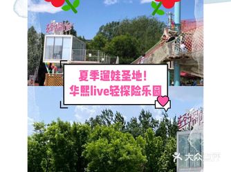 夏季遛娃圣地丨孩子们的探险乐园
