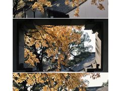 -虎丘山风景名胜区