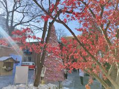-北京联合大学机电学院