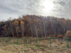 -塞罕坝国家级自然保护区