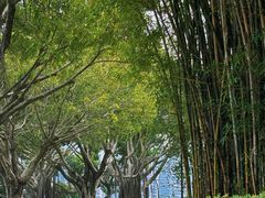 -白鹭洲公园