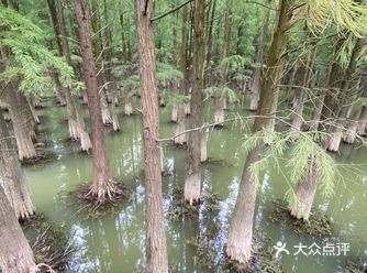 第二次来，全程在玩游乐设施。独木桥，绳网坡，迷宫
