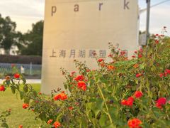 -上海月湖雕塑公园