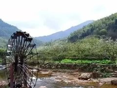 -广州市流溪河国家森林公园