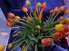 -CIAO·团建聚餐·生日派对轰趴馆(福田店)