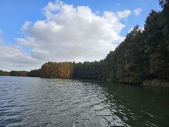 -上海海湾国家森林公园