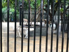 -TrueLove @ Neverland (Husky Cafe)
