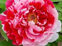 -玄武湖景区-情侣园游乐场