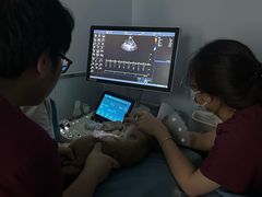 -纳吉亚猫专科动物诊疗中心(蒋宅口分院)