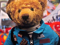 -济州岛泰迪熊博物馆