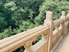 -灵谷景区