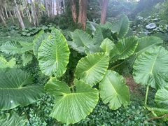 -福建鲤鱼洲酒店