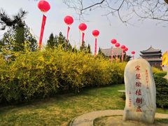 -大槐树寻根祭祖园