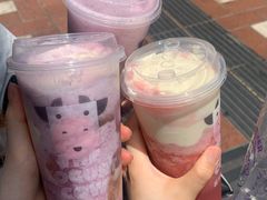 -一只酸奶牛(八一路店)