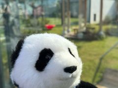 -无锡动物园·太湖欢乐园