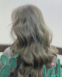 -IP SALON