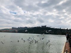 -七彩云南欢乐世界