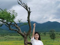 -石棉县孟获城