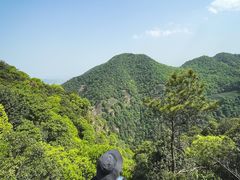 -午潮山国家森林公园